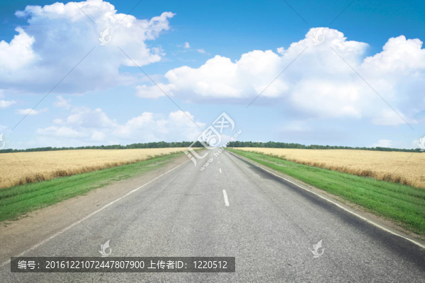 路線