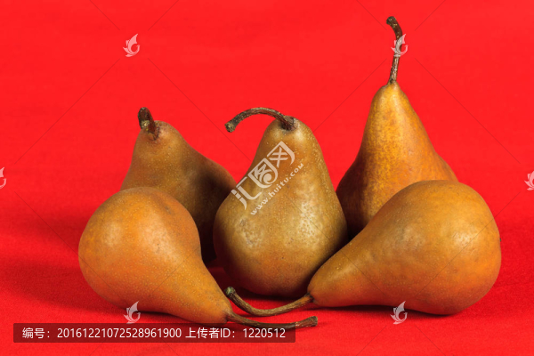 鮮梨