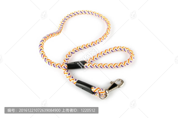 白色背景上的狗項圈