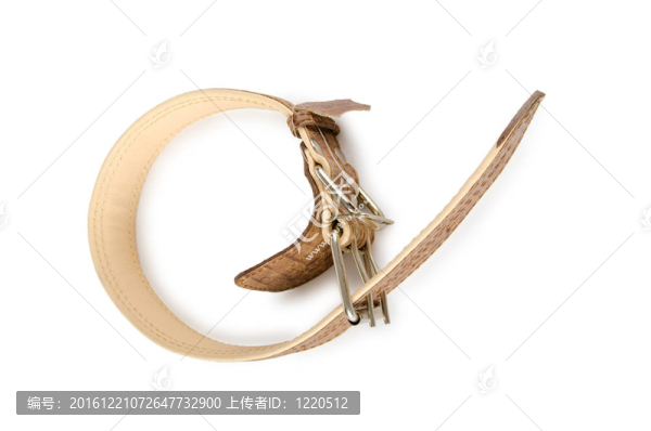 白色背景上的狗項(xiàng)圈