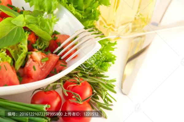 西紅柿；洋蔥；胡椒和沙拉在白色的背景