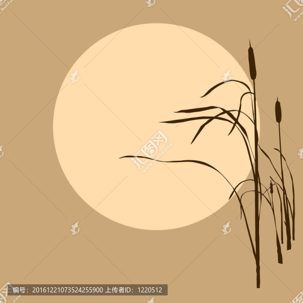 背景陽光下的蘆葦