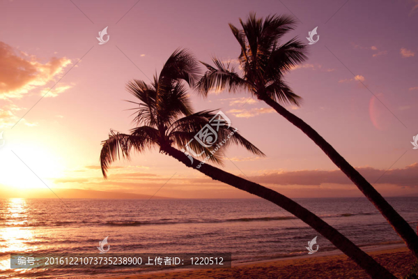 熱帶海灘的日落