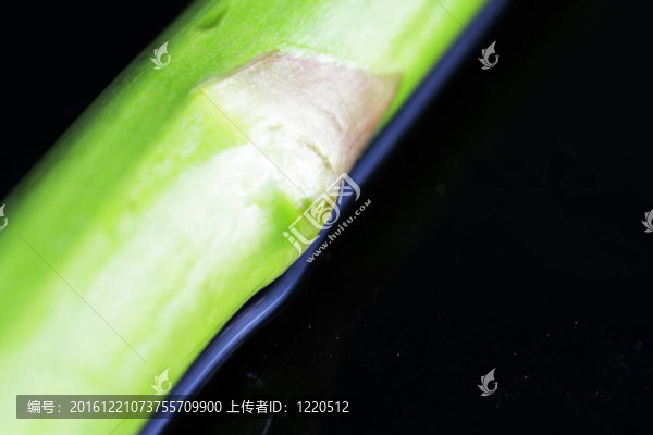 蘆筍在各種情況下