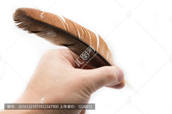 手上拿著羽毛