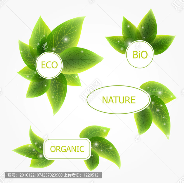 摘要向量自然橫幅與葉子