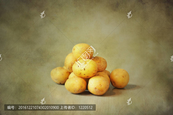 生態(tài)新土豆
