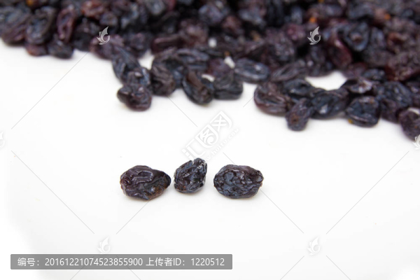 白底黑葡萄干