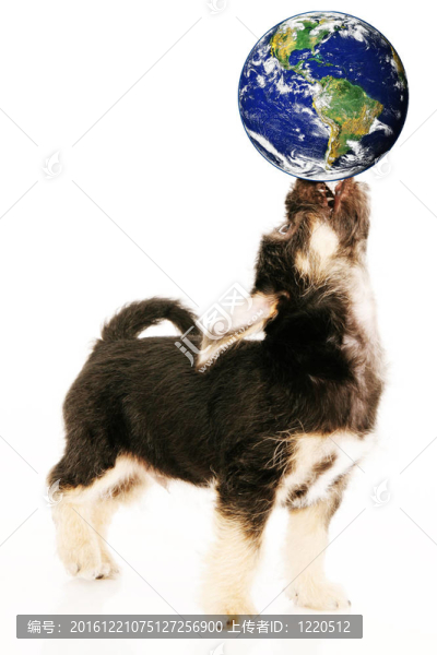 earthbalance競賽
