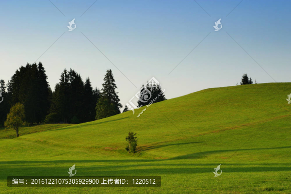 夏天的風(fēng)景