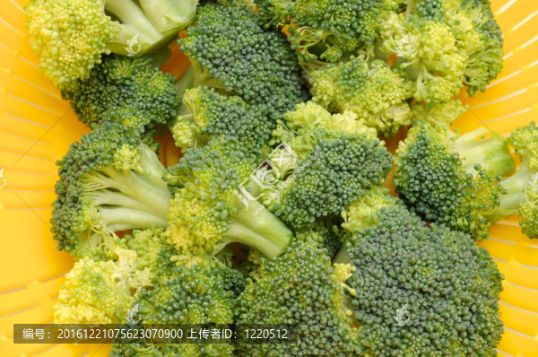 西蘭花切碎機