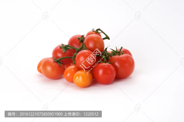 番茄分公司