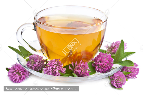 花草茶與三葉草隔離