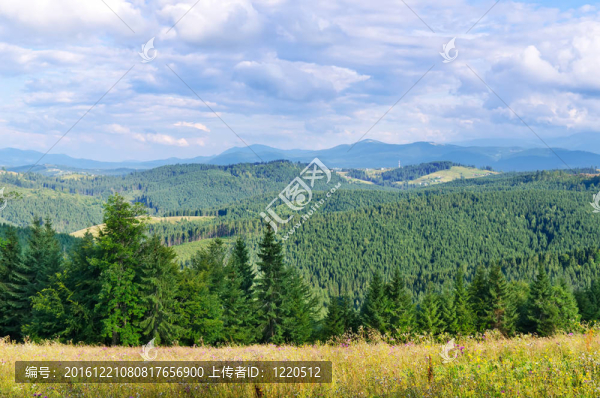 美麗的綠色山地景觀