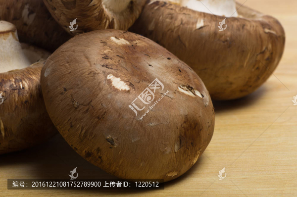 褐蘑菇切板