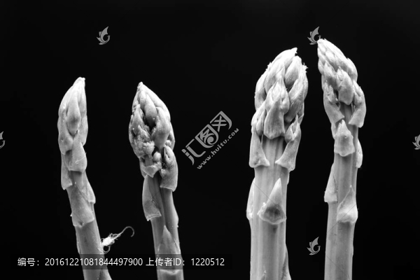 廚房里各種各樣的食物