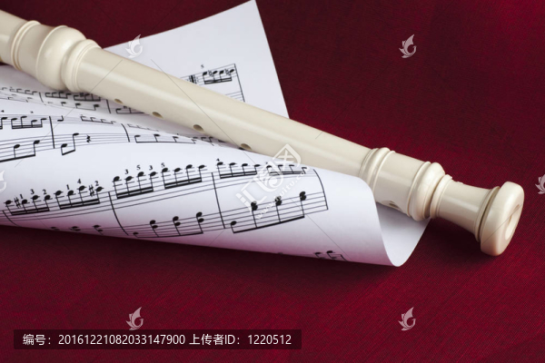 長(zhǎng)笛