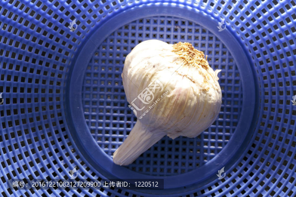 廚房里各種各樣的食物