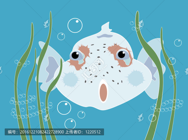 好奇的魚(yú)