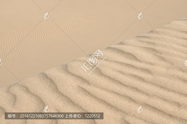 蕩漾在沙