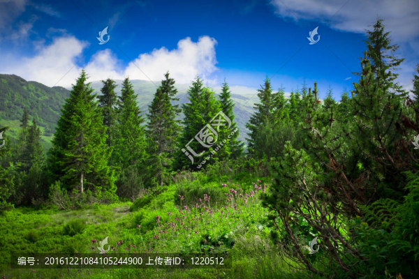 美麗的高山景觀