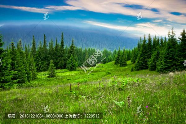 美麗的高山景觀