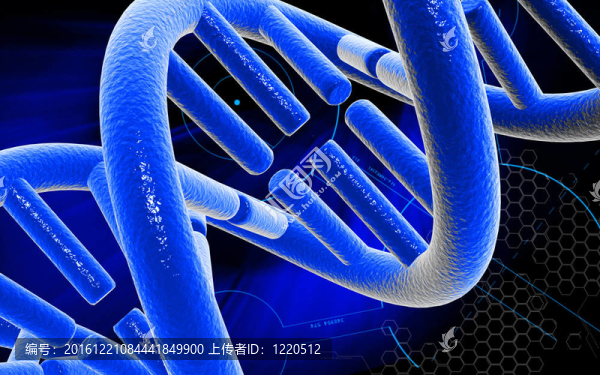 DNA