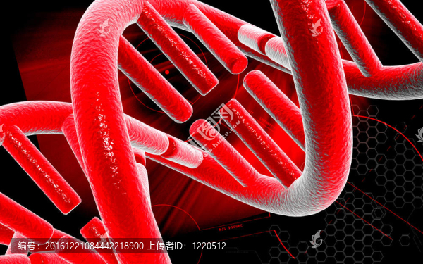 DNA