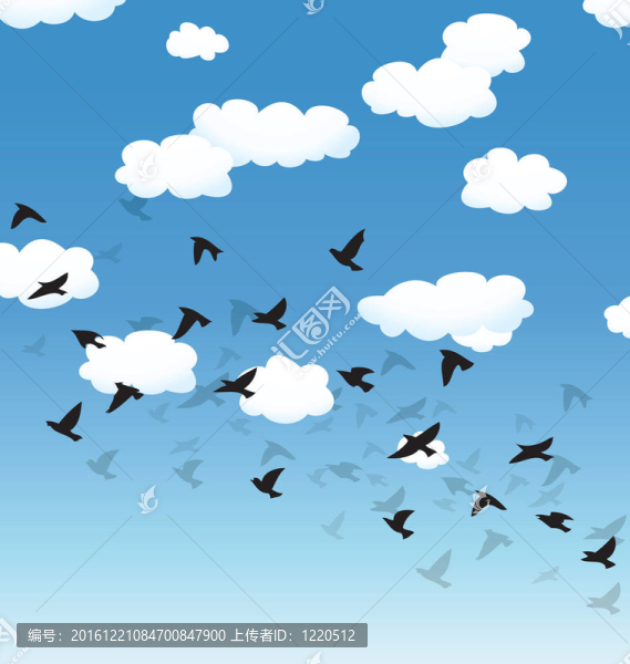 飛行鳥和云在天空