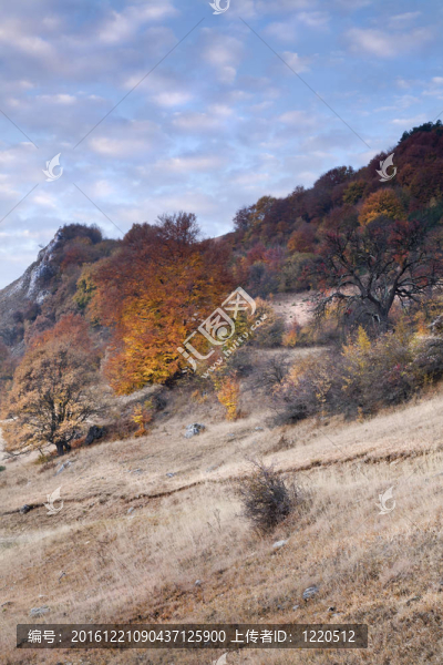 Transylvania的秋天