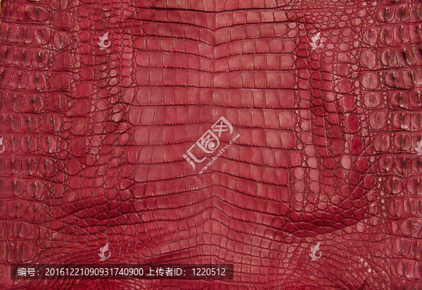 鱷魚皮紋理