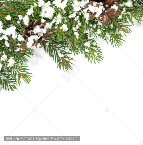 帶雪和圓錐體的圣誕框架
