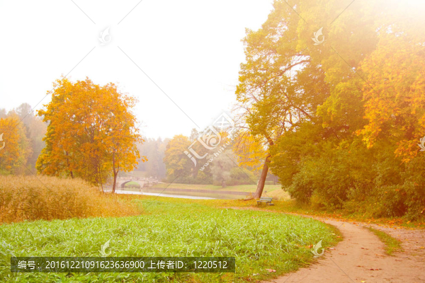 秋天的景色4
