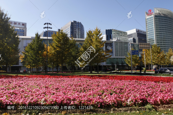 金融街街景