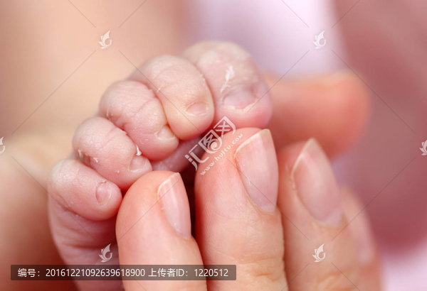 新生兒的腳和母親的手指
