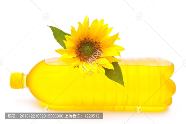 葵花葵花油
