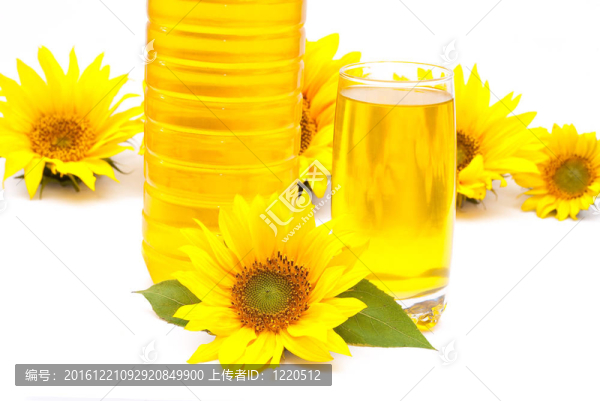 葵花籽油和向日葵