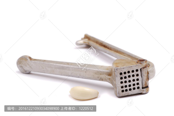 蒜瓣和粉碎機(jī)