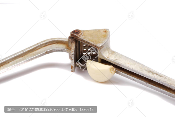 蒜瓣和粉碎機