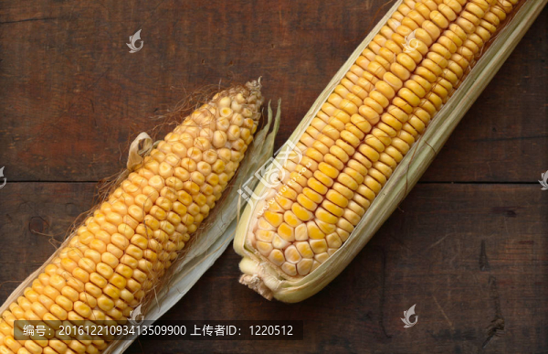 玉米對木材