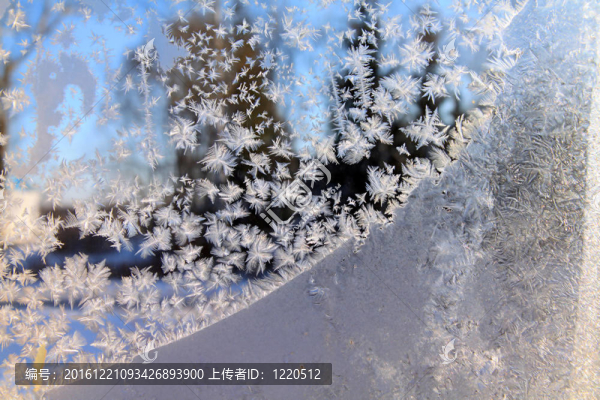 冬天窗戶上的白色水晶冰