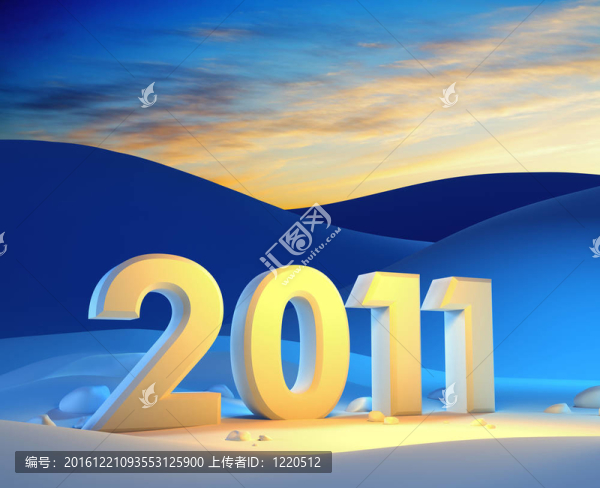 新的一年2011