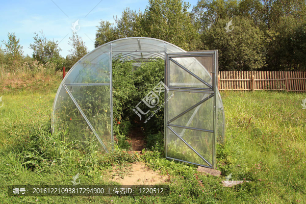 小溫室在綠色草本植物