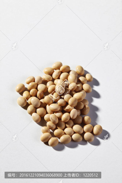大豆