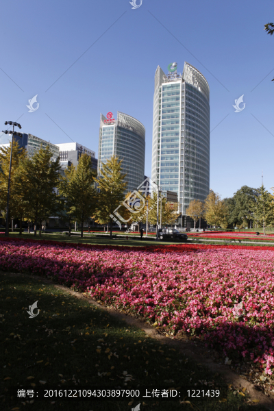 金融街街景圖片