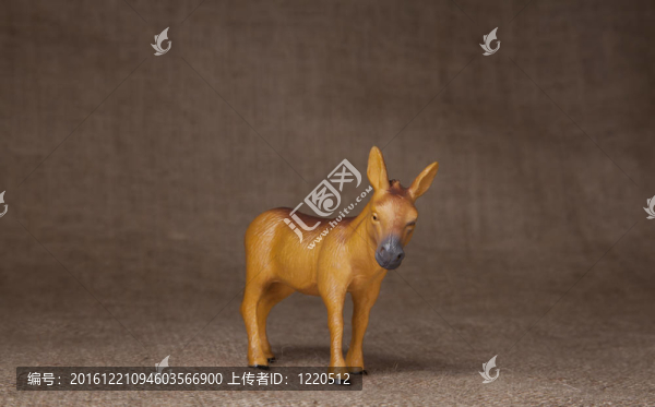 玩具驢站在黑森州（burlp）布