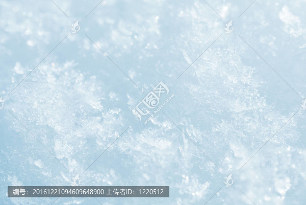 雪面上的雪花（微距）
