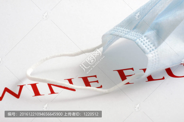 甲型H1N1流感病毒