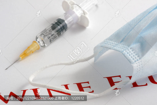 甲型H1N1流感病毒