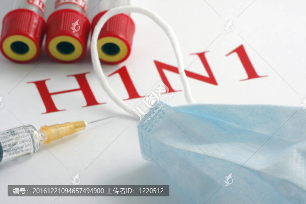 甲型H1N1流感病毒